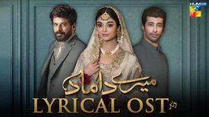 Mere Damad Drama Review