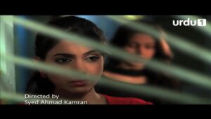 Shehryar Shehzadi Drama Review