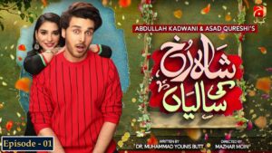 Shahrukh Ki Saaliyan Drama Review