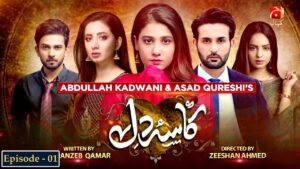 Kasa-e-Dil Drama Review